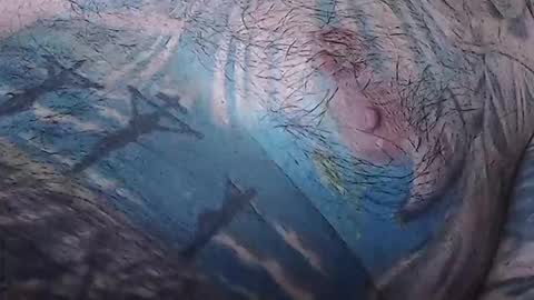 realrubpirate online show from February 15, 9:08 am