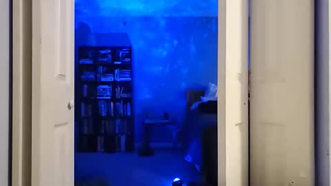 rebelstarlight online show from February 16, 10:00 am