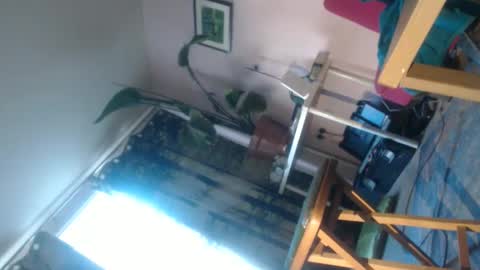 red69600986270 online show from June 8, 6:52 pm