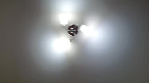 Lisa online show from February 12, 1:17 pm