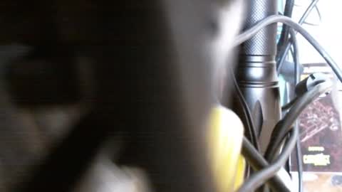 redorchard online show from February 17, 6:04 pm