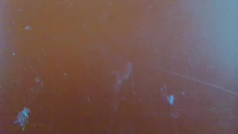 paola online show from January 29, 6:22 am