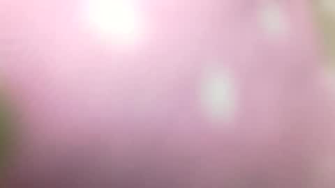 Snapshot of rhymes2479 chatting on January 1, 10:56 pm Shaved cock ready online show from January 1, 10:56 pm