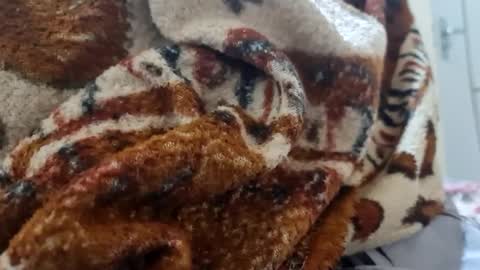 Snapshot of ricard440 chatting on January 12, 1:16 pm ricard440 online show from January 12, 1:16 pm