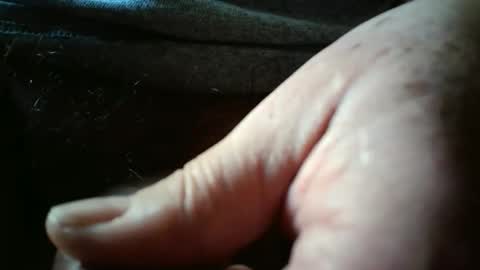 Always crusing cams online show from April 30, 2:23 pm