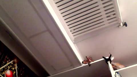 RICK DAYDREAM online show from March 16, 8:35 pm