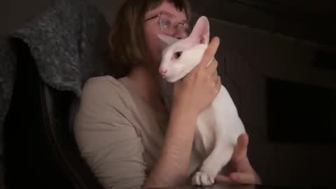 Snapshot of rickisanchez chatting on September 13, 8:19 pm RickiSanchez online show from September 13, 8:19 pm