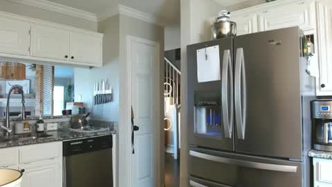 riley depp online show from February 17, 10:36 pm