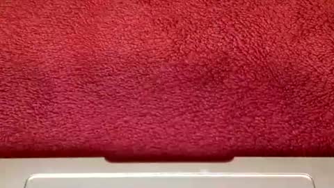 Snapshot of rimalovar chatting on October 25, 6:32 am rimalova online show from October 25, 6:32 am