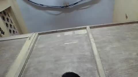 rimshi online show from April 17, 2:09 pm