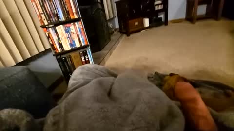 robbiebob6828 online show from March 2, 4:14 am