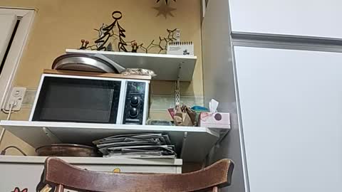 robke1966 online show from December 23, 7:06 am