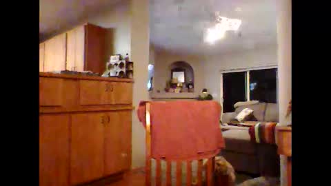 robo0000 online show from November 20, 1:06 am