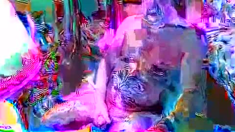 rocky082288 online show from December 8, 12:41 pm