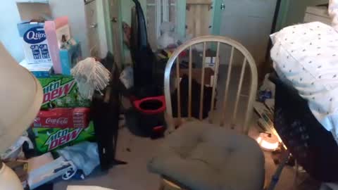 rocky082288 online show from January 9, 1:24 pm