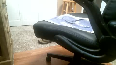 Snapshot of rocky_55 chatting on July 27, 4:47 pm rocky_55 online show from July 27, 4:47 pm