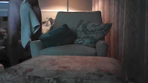 Snapshot of ronvlv chatting on July 8, 1:43 am ronvlv online show from July 8, 1:43 am
