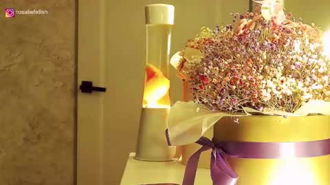 Rosalie online show from November 16, 1:33 am