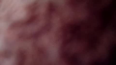 Snapshot of rose12161216 chatting on November 3, 3:13 pm rose12161216 online show from November 3, 3:13 pm