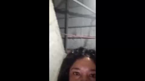 rose_marie2025 online show from February 5, 3:49 pm