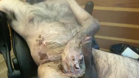 Snapshot of rotoball007 chatting on January 30, 8:31 pm rotoball007 online show from January 30, 8:31 pm