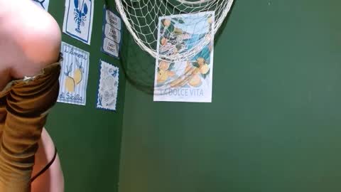 Roxie online show from September 26, 2:26 am