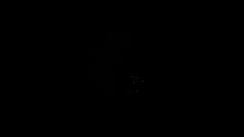 Snapshot of royce888 chatting on November 16, 5:24 am royce888 online show from November 16, 5:24 am