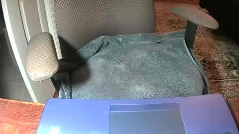 Snapshot of royer8650 chatting on June 22, 8:55 am Lookingaround online show from June 22, 8:55 am