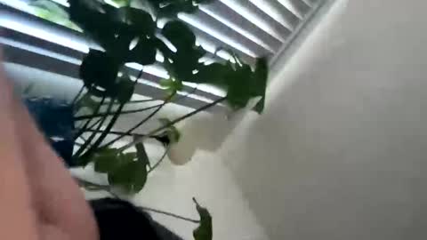 Snapshot of rula___1 chatting on February 4, 10:47 pm rula___1 online show from February 4, 10:47 pm