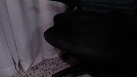 Snapshot of rx7900xtx chatting on December 4, 3:27 am rx7900xtx online show from December 4, 3:27 am