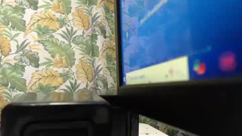 s_o_f_e_a online show from January 12, 1:38 pm