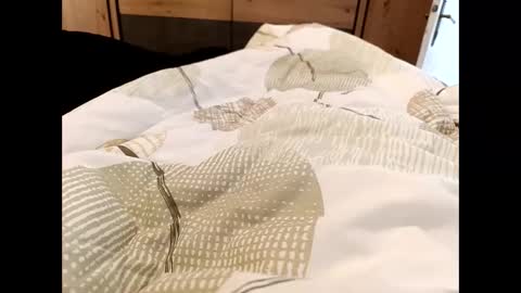 s_xp__ online show from December 19, 11:28 am