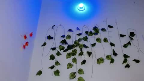 SABRI online show from April 17, 7:17 pm