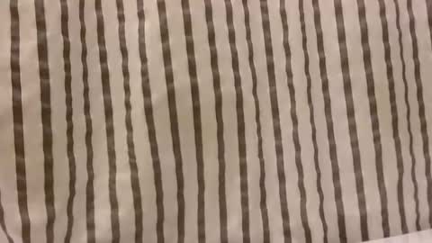 Snapshot of sacalaschichiss chatting on October 29, 1:13 pm Dee online show from October 29, 1:13 pm