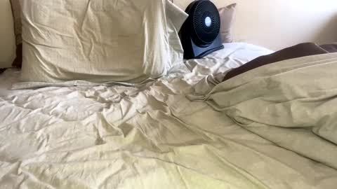 R online show from January 26, 9:18 pm