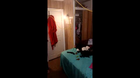 PupTwink online show from March 1, 10:34 pm