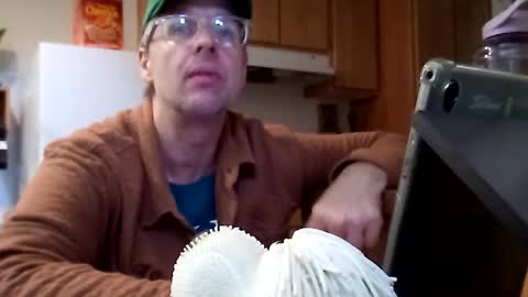 salis1981 online show from November 21, 7:01 pm