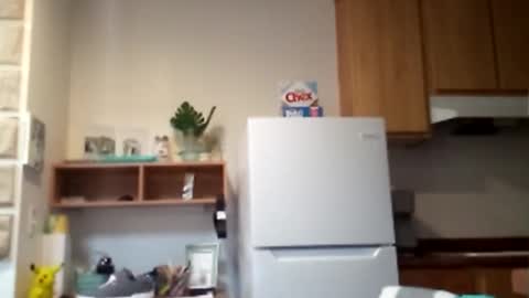 salis1981 online show from February 10, 6:45 pm