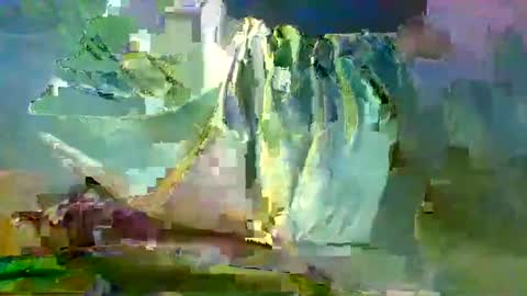 sam223382879 online show from December 27, 10:59 pm