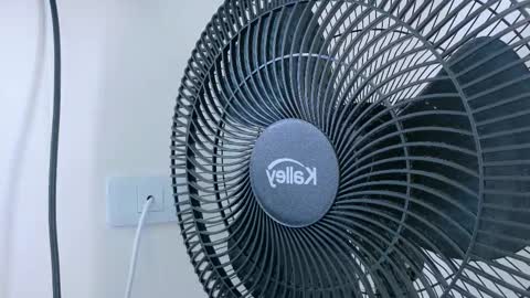   online show from November 20, 11:21 am