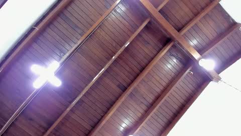 Sofia  online show from December 6, 2:17 pm