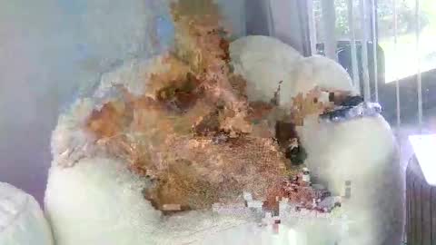 Snapshot of samathajamesxo chatting on March 31, 7:03 pm Samatha James online show from March 31, 7:03 pm
