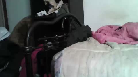 Samedisamedi1nouveau online show from December 5, 5:42 pm