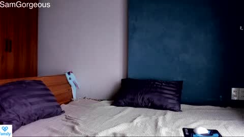 Snapshot of samgorgeous chatting on December 9, 9:06 am Fansly - Top4fans online show from December 9, 9:06 am