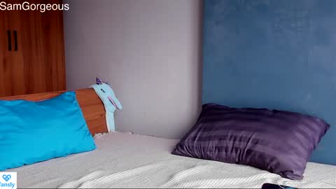 Snapshot of samgorgeous chatting on December 28, 6:17 am Fansly - Top4fans online show from December 28, 6:17 am