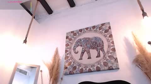 Sammy  online show from February 1, 2:37 pm