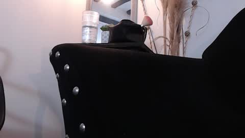 Sammy  online show from February 3, 6:40 am