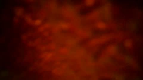 Snapshot of samueltal chatting on September 16, 12:11 am samueltal online show from September 16, 12:11 am