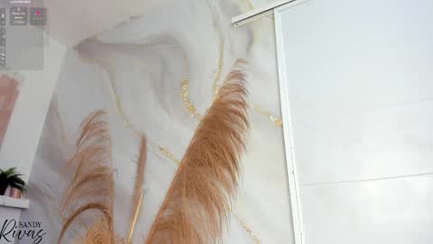 SAM  online show from February 2, 2:49 pm