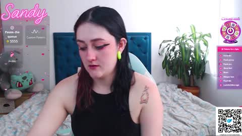 Sandy Prinss online show from February 1, 2:59 pm